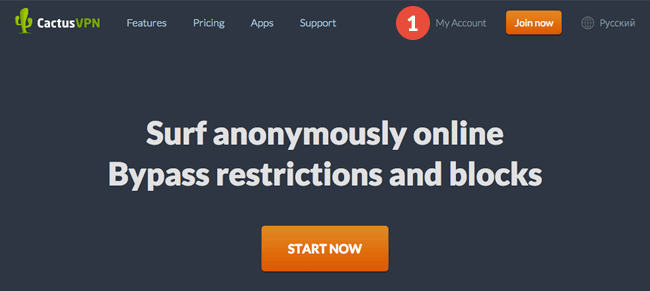 Bypass transparent DNS proxy: Step 1