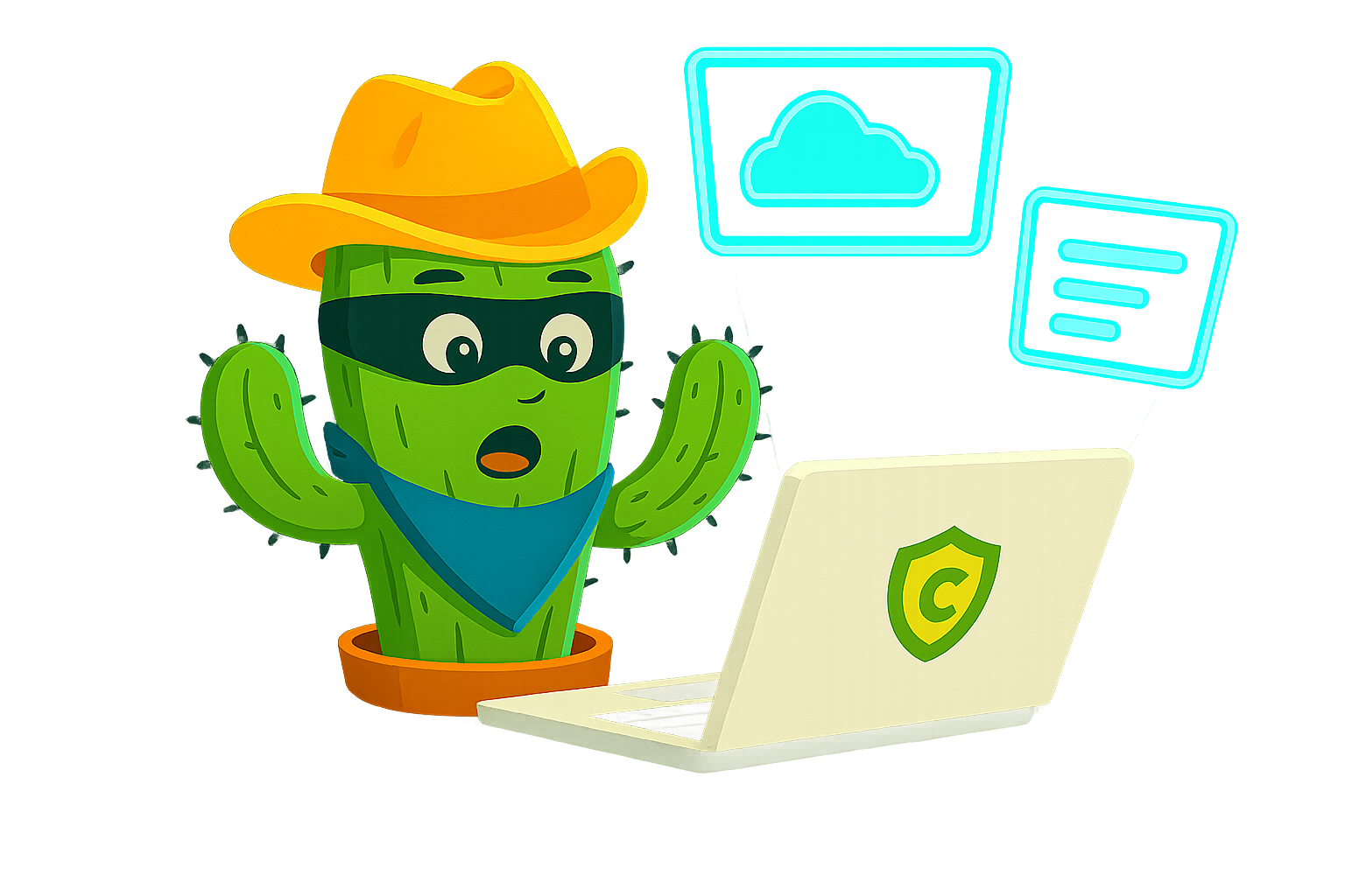 CactusVPN - Connect for access