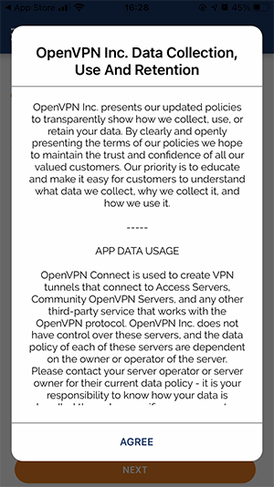 How to set up OpenVPN on iPad: Step 3