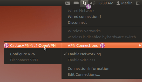 how to install vpn on ubuntu 13.04