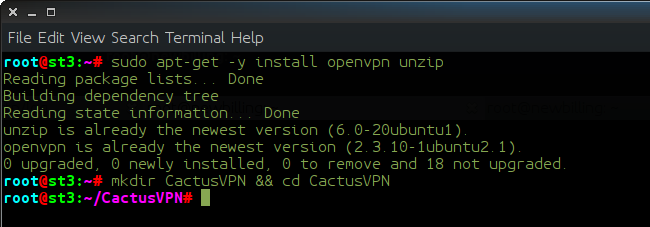 How to set up OpenVPN on Ubuntu from command line: Step 3