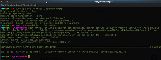 How to set up OpenVPN on Ubuntu from command line: Step 5