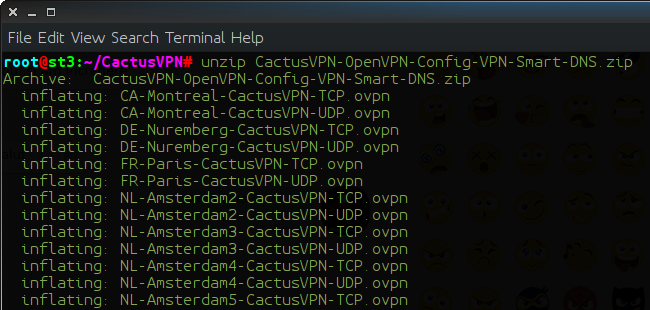 How to set up OpenVPN on Ubuntu from command line: Step 6