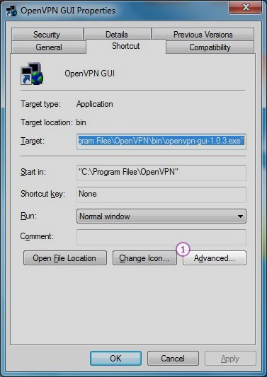 How to set up OpenVPN on Windows Vista: Step 11