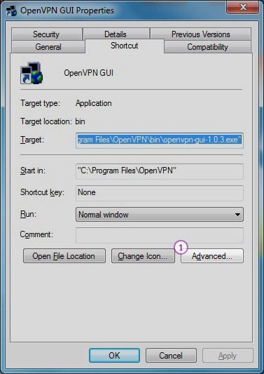How to set up OpenVPN on Windows Vista: Step 11