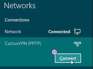 How to set up PPTP VPN on Windows 8: Step 9