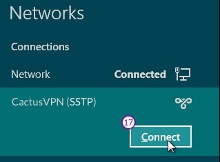 How to set up SSTP VPN on Windows 8: Step 9
