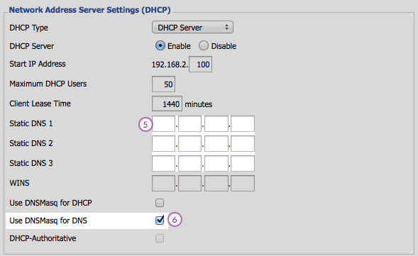 DD-WRT  Smart DNS Setup: Step 3