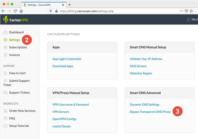 Bypass transparent DNS proxy: Step 2