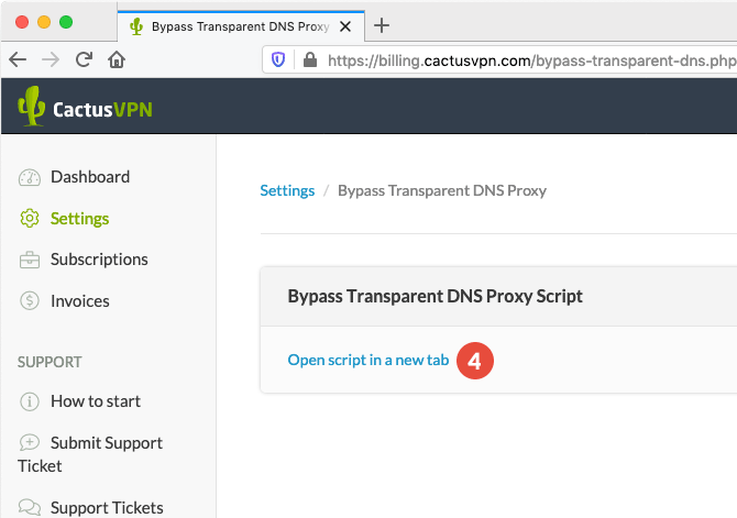 Bypass transparent DNS proxy: Step 3