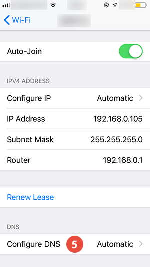 iPad Smart DNS Setup: Step 3