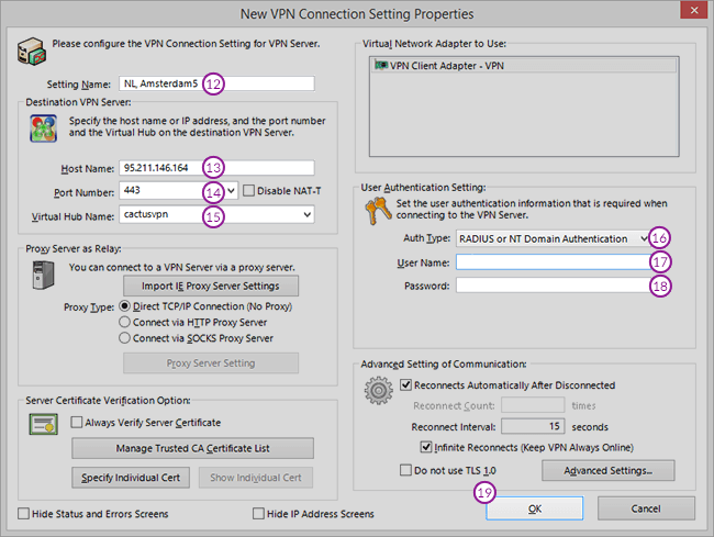 SoftEther Setup: Step 1