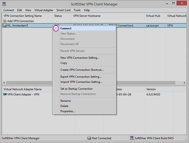 SoftEther Setup: Step 11