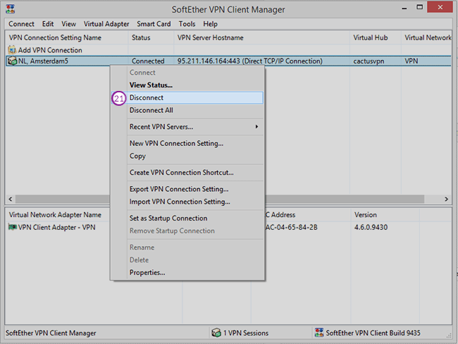 SoftEther Setup: Step 12