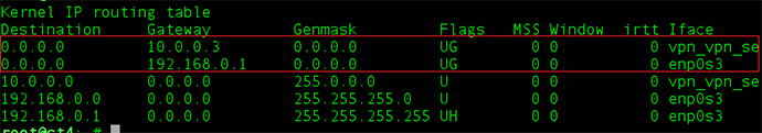 How to Set up SoftEther VPN Client on Linux: Step 1