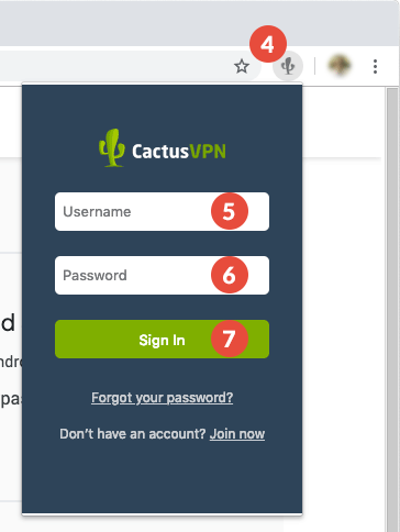 How to set up CactusVPN Extension for Chrome: Step 3