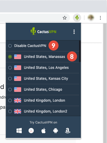 How to set up CactusVPN Extension for Chrome: Step 4