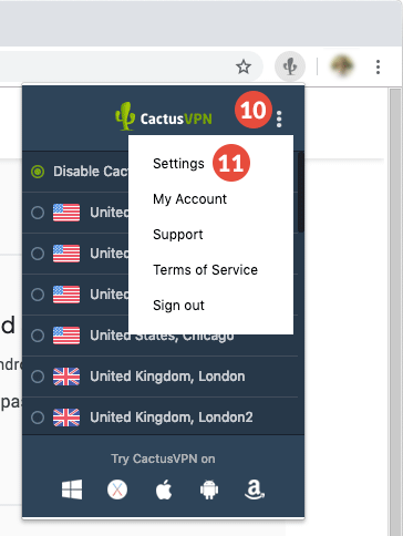 How to set up CactusVPN Extension for Chrome: Step 5