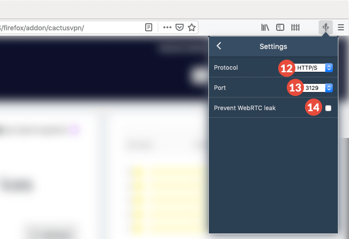 How to set up CactusVPN Extension for Firefox: Step 7
