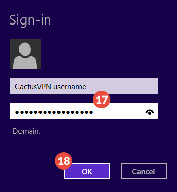 Windows 8 IKEv2 VPN Setup: Step 11