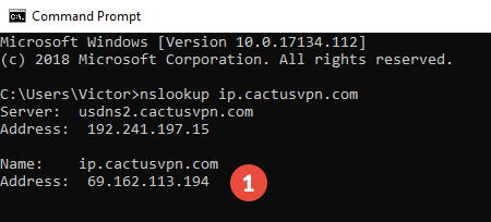 Transparent DNS proxy Test: Step 2