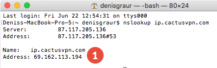 Transparent DNS proxy Test: Step 2