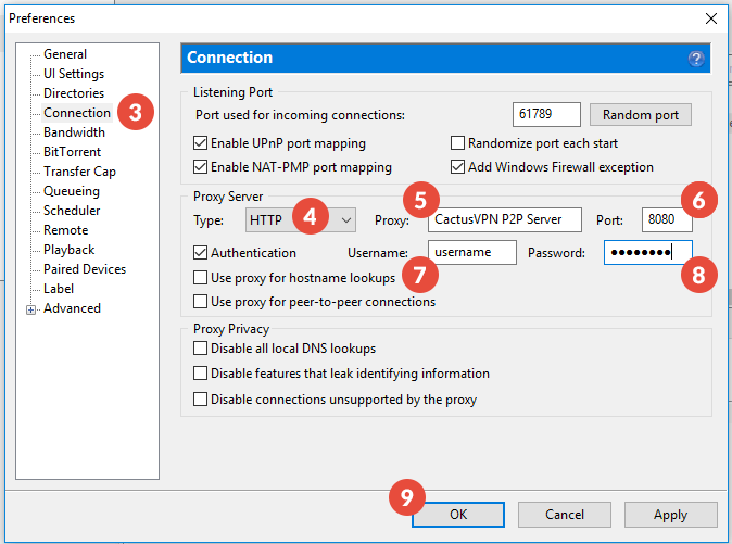 How to Set Up Proxy on BitTorrent: Step 2