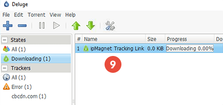 How to Set Up Proxy on Deluge: Step 4