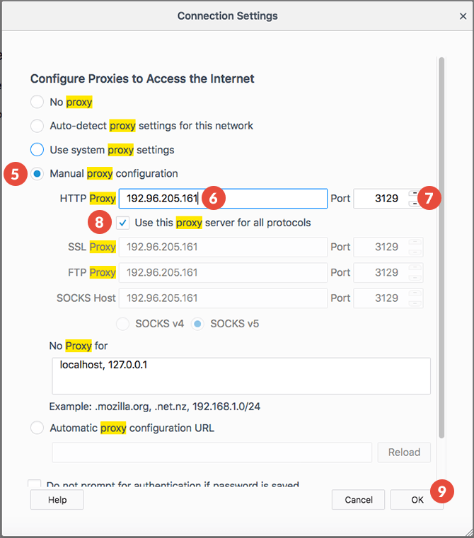 Firefox Proxy Setup: Step 3