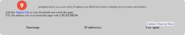 How to Set Up Proxy on qBitTorrent: Step 3