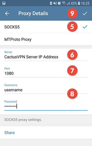 How to Set Up SOCKS5 Proxy on Telegram for Android: Step 5
