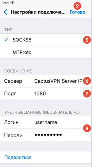 How to Set Up SOCKS5 Proxy on Telegram for iOS: Step 4