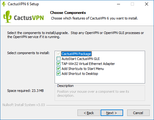 How to set up CactusVPN App for Windows: Step 3