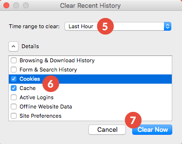 How to Clear Cache and Cookies on Firefox: Step 3
