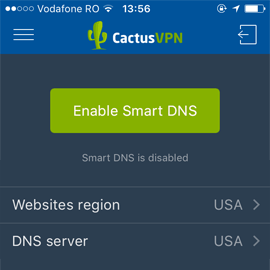 iOS Smart DNS App