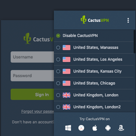 We Just Launched A Google Chrome Extension Cactusvpn