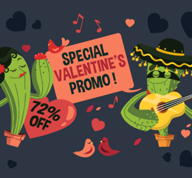 Valentine's Day Promotion