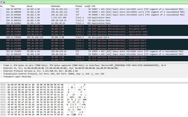 Wireshark Network Traffic