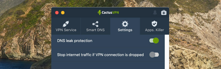 DNS Lean Protection