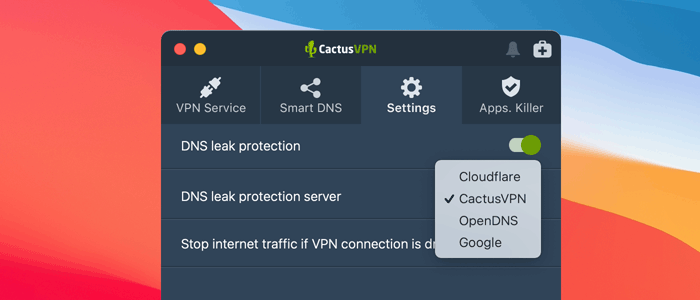 CactusVPN DNS Leak Protection
